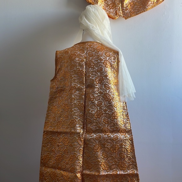 Vintage Middle Eastern Halloween Costume Veil - Picture 7 of 10